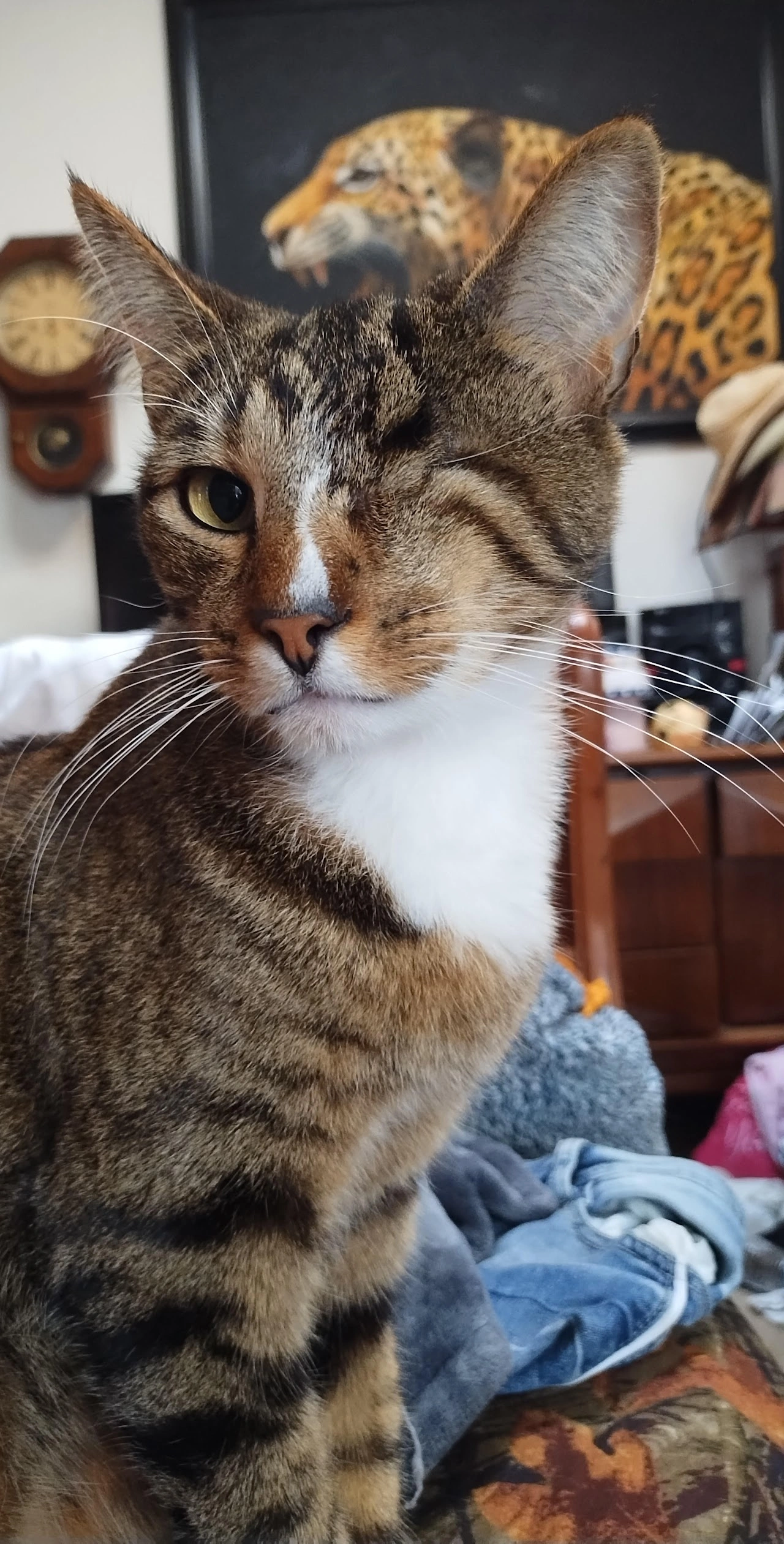 Because Every 
Pet Deserves Love