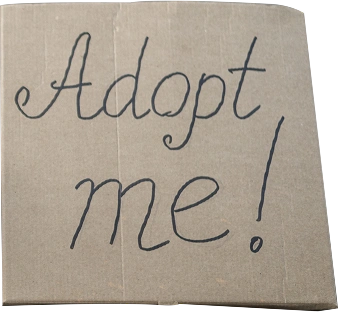 Because Every 
Pet Deserves Love