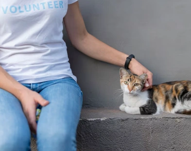 Because Every 
Pet Deserves Love