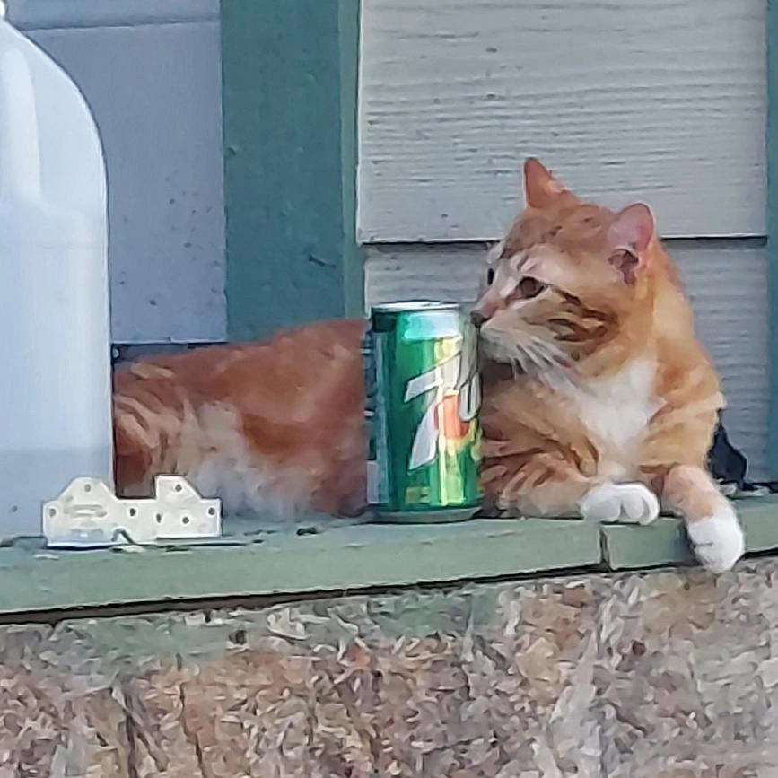 Because Every 
Pet Deserves Love